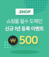 쇼핑몰 필수 도메인 SHOP 신규 1년 500이벤트